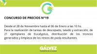Concurso de Precios N°19: Trabajos en el Monte de Eucaliptus