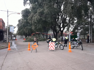 Poda y Corte de Calle